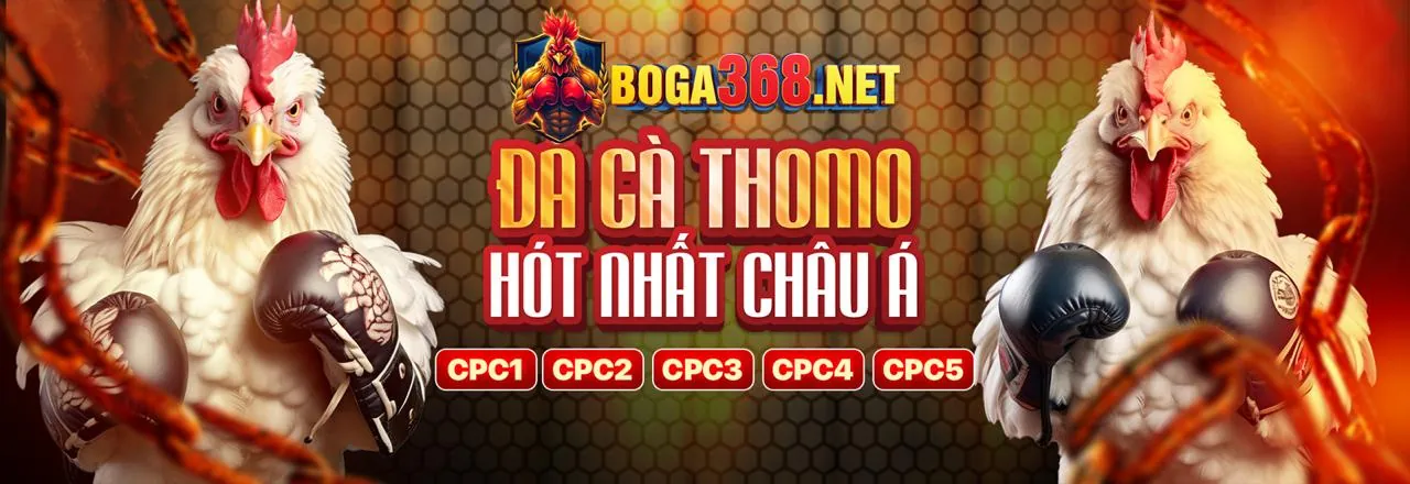 Tin tức Win88 Code mới nhất